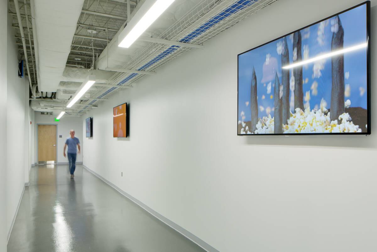 JHU-MICA Film Centre Interior